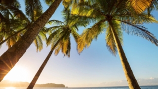 Quand partir <br><b>en voyage au Panama?</b>