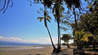 Plage du Golfo Dulce depuis la côte de Puerto Jimenez