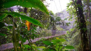 Pont suspendu de la régiond'Arenal
