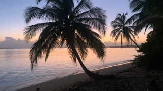 Ile Bastimentos, Bocas del Toro