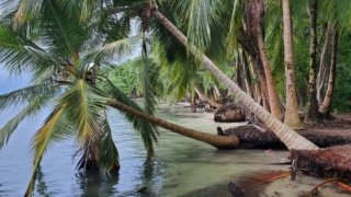 Isla Carenero, Bocas del Toro