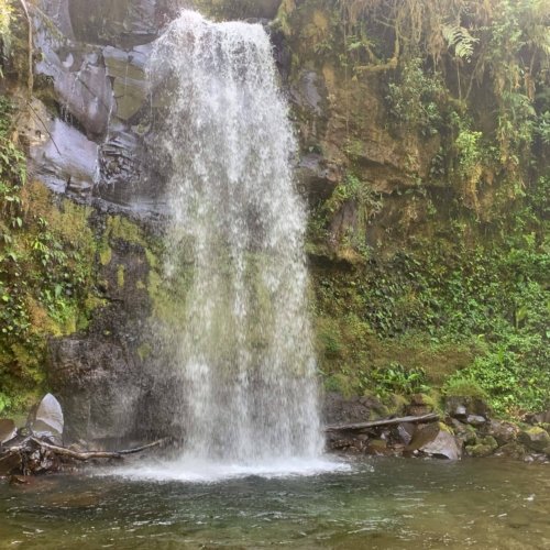 Le Panama accessible : entre jungle et Caraibes