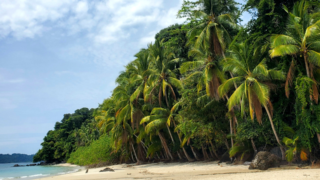 Plage turquoise de Coiba, Parc national protégé du Panama.