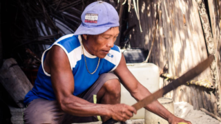 Guan sur les San Blas au Panama