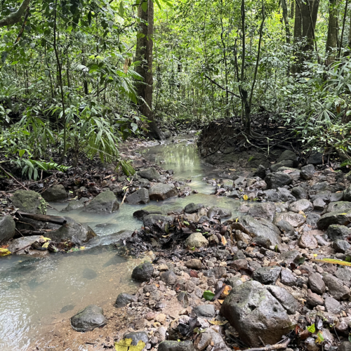Panama Sauvage : Jungle, Volcan & Tortues Marines