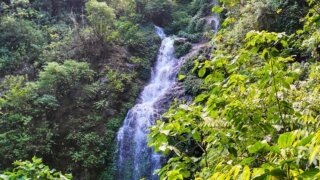 Cascade El Tigre dans la région de Monteverde