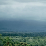 13. VERAGUAS