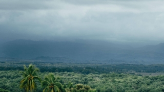 13. VERAGUAS