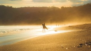 Surf