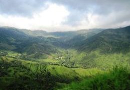 foret de monteverde