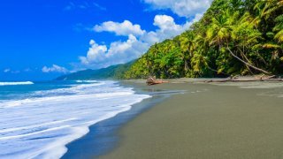 Plage de la Péninsule d'Osa, sur la côte Pacifique du Costa Rica