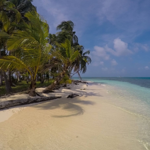 Cocktail <b>tropical</b><br> Circuit Panama –  Costa Rica