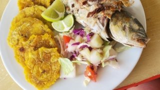 Poisson Frit