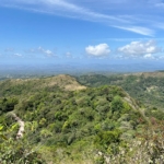 4. COCLE