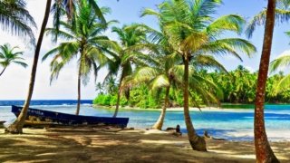 Archipel des San Blas, plage eau turquoise et sable blanc.